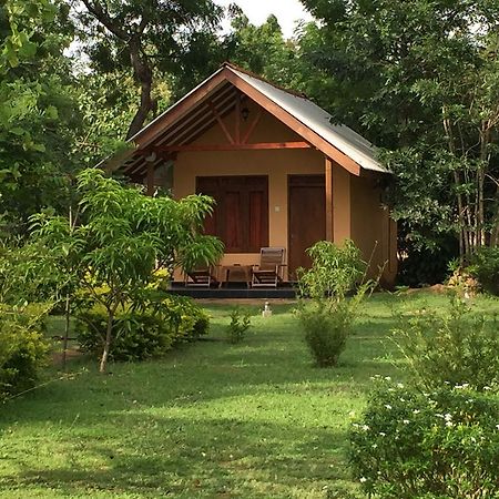 Liyon Rest Sigiriya Hotell Eksteriør bilde